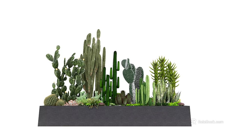 Bonsai Potted Plants With Various Cacti And Succulents In Rectangular Planter 3d model 