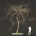 Leafless Tree with White Figure Standing Near Green Grass Base 3d model