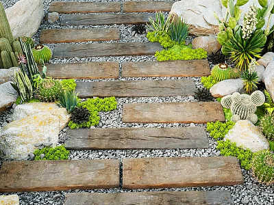Natural Garden Path With Wooden Stepping Stones Pebbles Lush Succulents And Cacti 3d model