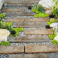 Natural Garden Path With Wooden Stepping Stones Pebbles Lush Succulents And Cacti
