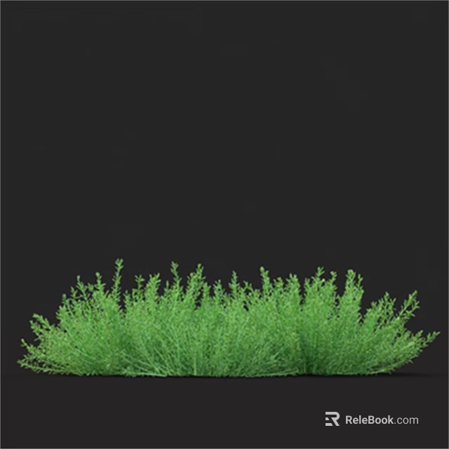 Lush Green Fresh Grass Growing Vibrantly in Natural Garden Setting 3d model 