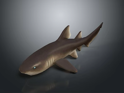 Brown Shark 3D Model with Fins on Gray Background and Reflection 3d model