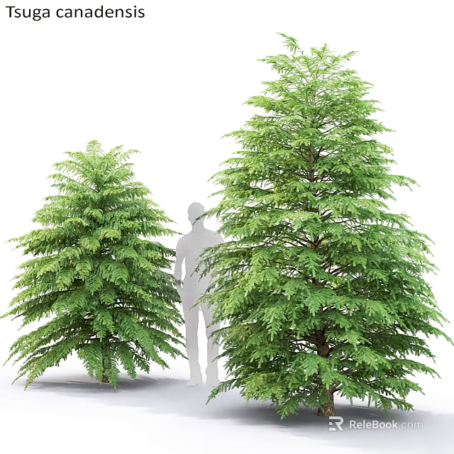 Decorative Ornament Set With Green Trees And Human Silhouette For Home Decoration 3d model 