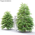 Decorative Ornament Set With Green Trees And Human Silhouette For Home Decoration