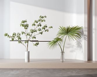 Modern Vase Bonsai Combo 3d model