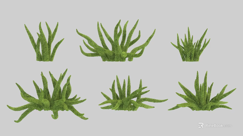 Decorative Green Plants With Various Leafy Shapes And Fresh Foliage For Indoor Garden 3d model 