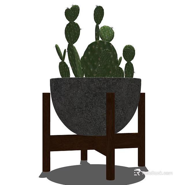 Indoor Potted Cactus Plant In Gray Pot With Wooden Stand Decoration 3d model 