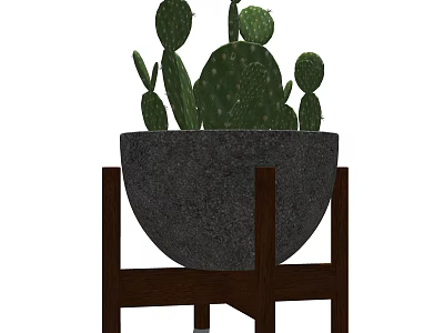 Indoor Potted Cactus Plant In Gray Pot With Wooden Stand Decoration 3d model