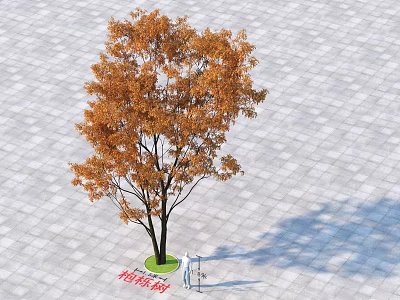 Ornamental Outdoor Arbor With Orange Yellow Foliage Standing On Paved Ground Casting Long Shadow 3d model