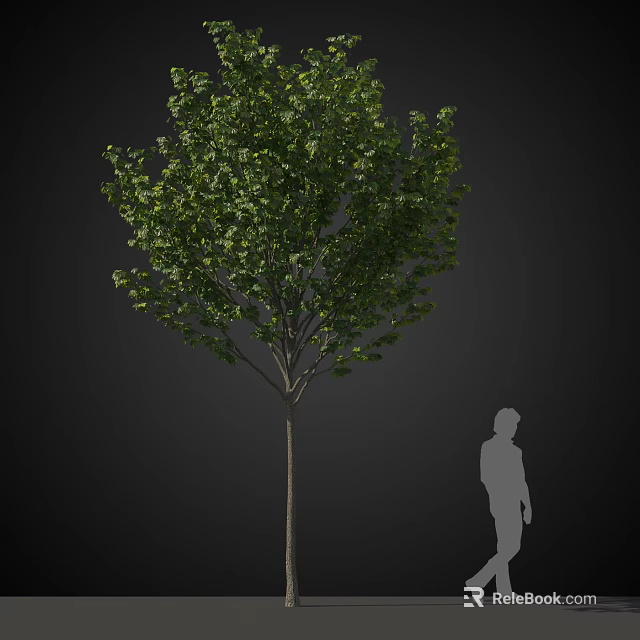 Arbor With Lush Green Foliage And Sturdy Trunk Featuring Human Silhouette For Scale 3d model 