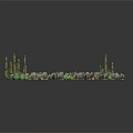 Desert Cacti and Green Succulent Plants in Arid Sandy Landscape with Spiky Foliage