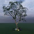 Tall Arbor with Lush Green Leaves and Strong Trunk Surrounded by Small Plants and Rocks