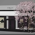 Jo Malone London Store Window With Cherry Blossom Tree And Perfume