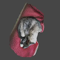 Adorable Video Game Cat Character Sleeping On Red Plush Blanket