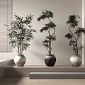 Bonsai Plants With Green Leaves In Various Pots On Light Shelf By Window Blinds