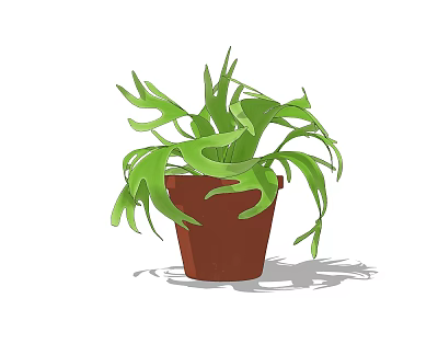 potted plant 3d model potted plant 3d model