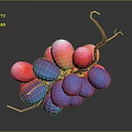 Fresh Red And Purple Grapes With Green Vine On Dark Background