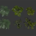 Various Types of Green Plants with Different Heights Shapes Trees and Shrubs 3D Rendering