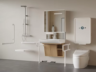 Accessible Bathroom With Grab Bars Shower Sink Toilet Mirror And Storage 3d model