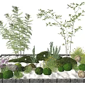 Lush Plant Combination With Ferns Small Trees Round Green Shrubs Rocks And Moon Lights