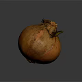 Fresh Brown Onion With Green Leaf And Textured Surface On Dark Background