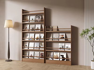 Wooden Bookshelf With Books And Magazines In Living Room With Floor Lamp And Potted Plant 3d model