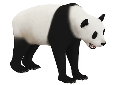 Giant Panda With Black And White Fur Standing On White Background 3d model