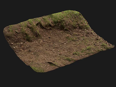 Earthy Soil Surface With Green Moss And Natural Terrain Texture 3d model