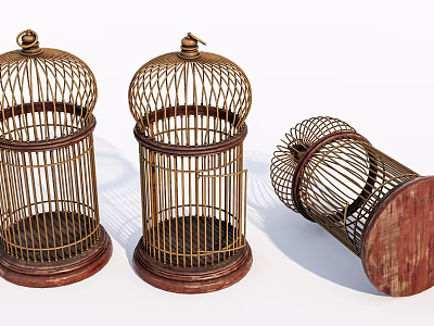 Wicker Birdcage Decorative Ornament Set With Wooden Base Two Standing One Overturned 3d model