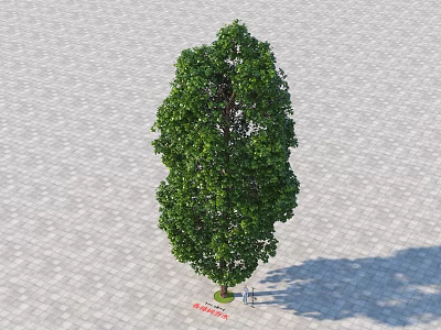 Lush Green Arbor With Dense Foliage Standing On Paved Ground Surface 3d model