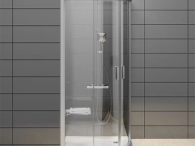 Modern Shower Enclosure With Gray Tile Walls Transparent Glass Door And Shower Head 3d model