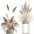 Elegant Bonsai Potted Plant With Brown Purple And White Grasses In Beige Pot