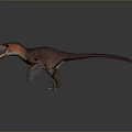 Small Purple Orange Dinosaur 3D Model With Open Mouth Standing Pose