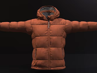 modern cotton-padded jacket 3d model