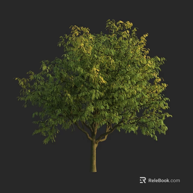 Arbor With Lush Green Leaves And Tall Sturdy Trunk In Natural Setting 3d model 