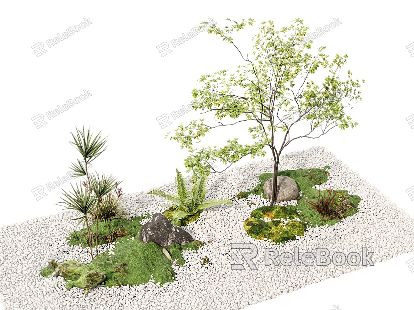 Courtyard sketch plant combination stone pebble plant pile dry landscape indoor landscape tree model