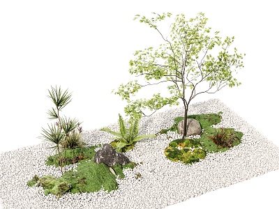 Courtyard sketch plant combination stone pebble plant pile dry landscape indoor landscape tree 3d model