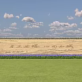 Cultural Decorative Wall With Stone Surface Wooden Plaque Carved Patterns Flowers And Green Lawn