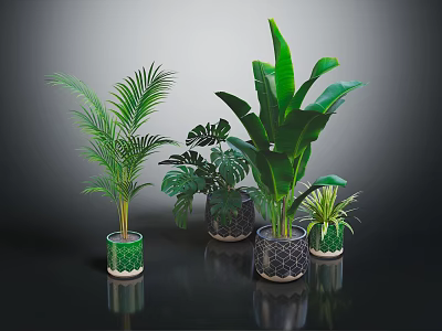 Various Indoor Green Plants in Decorative Patterned Pots for Home Decor 3d model