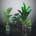 Various Indoor Green Plants in Decorative Patterned Pots for Home Decor 3d model