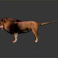 Realistic 3D Rendered Lion With Reddish Brown Mane Standing On Shiny Black Background