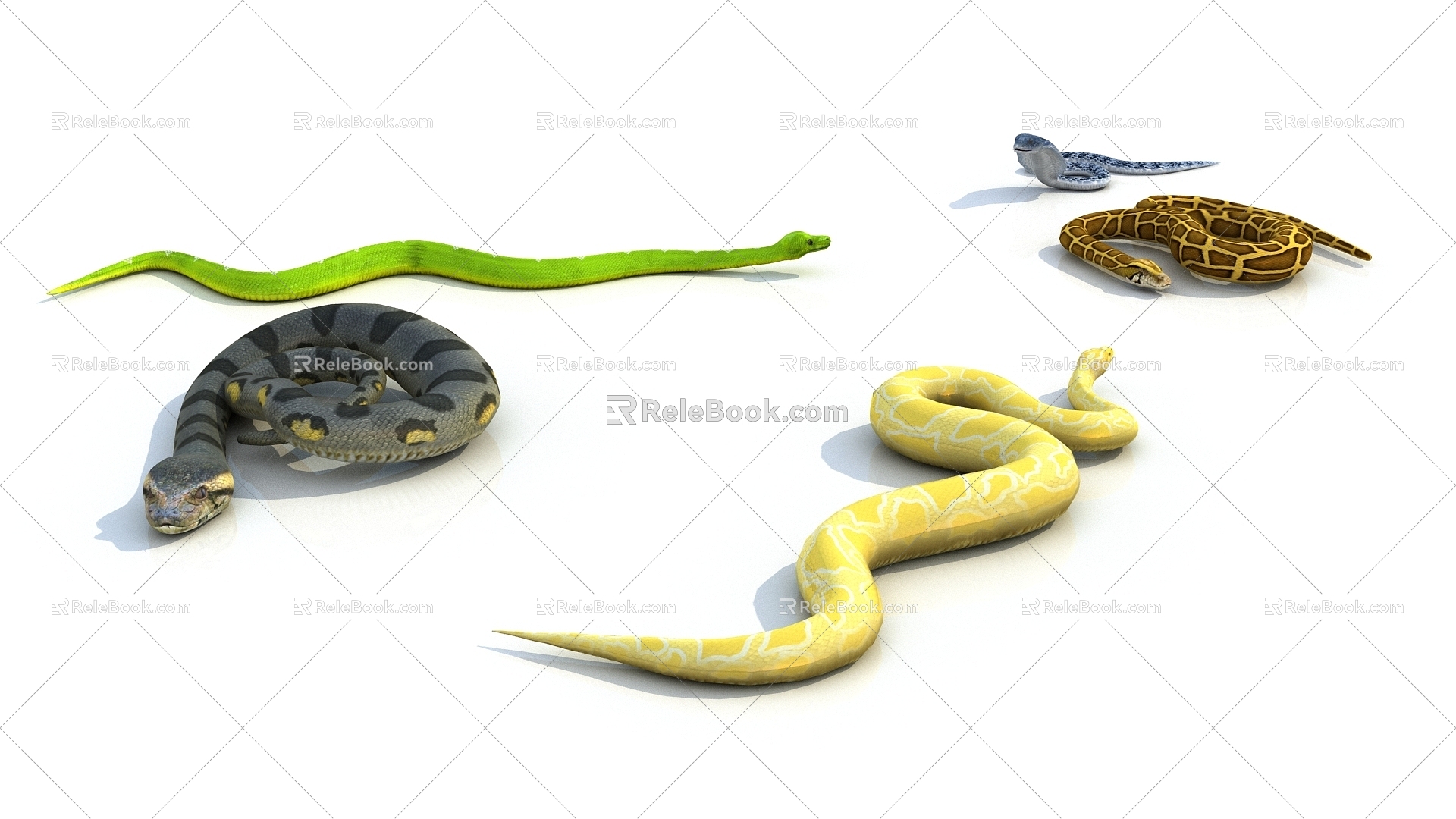 Many snakes. 3d model