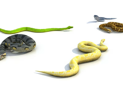 Diverse Reptile Species With Green Yellow Gray Snakes And Lizards On White Background 3d model