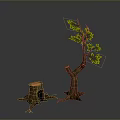 Tree with Green Leaves and Brown Trunk Beside Tree Stump with Roots
