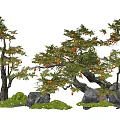 Arbor Trees with Green Foliage Orange Fruits Curved Trunks and Rock Grass Decorations