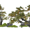 New Chinese Persimmon Tree Landscape Tree Arbor Old Pile Fruit Tree Stone Micro-terrain Moss Landscape Dry Landscape 3d model