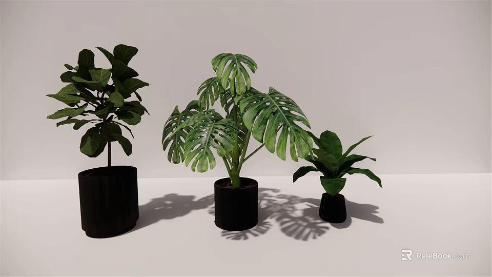 Bonsai Potted Plants With Various Green Leaves In Black Pots For Modern Indoor Decor 3d model 