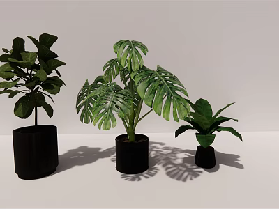 Bonsai Potted Plants With Various Green Leaves In Black Pots For Modern Indoor Decor 3d model
