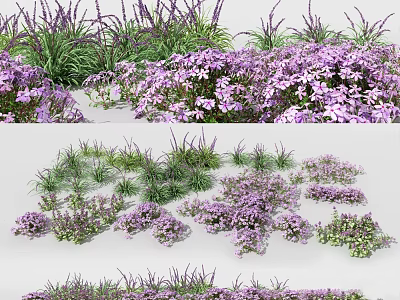 Vibrant Purple Flowers And Green Grasses In Garden Landscape Design 3d model