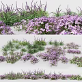 Vibrant Purple Flowers And Green Grasses In Garden Landscape Design